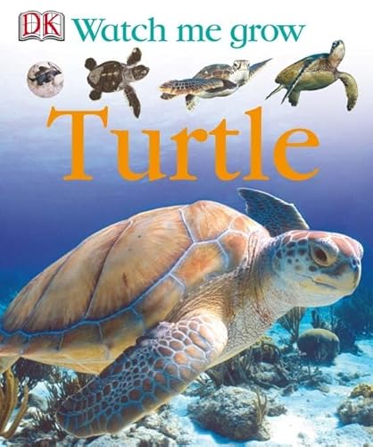 Imagen de archivo de Turtle a la venta por Better World Books: West