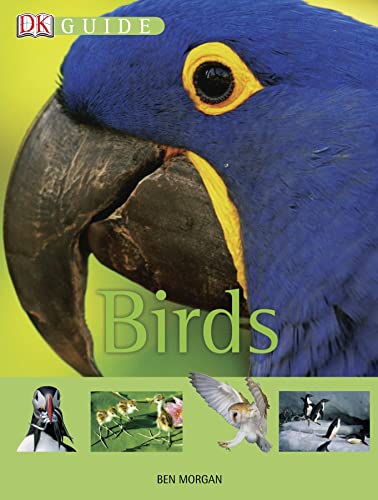 Beispielbild fr Birds (DK Guide) zum Verkauf von WorldofBooks