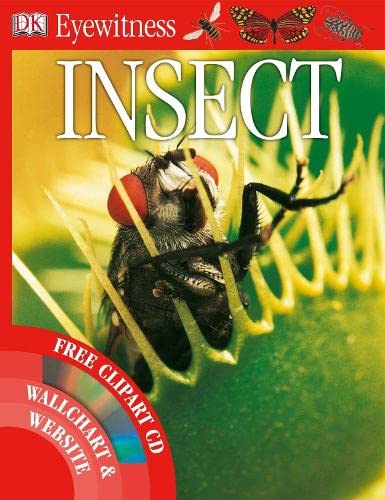 Imagen de archivo de Insect (Eyewitness) a la venta por WorldofBooks