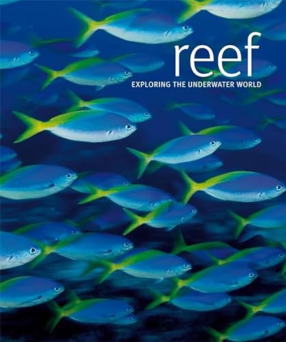 9781405322256: Reef: Exploring the Underwater World