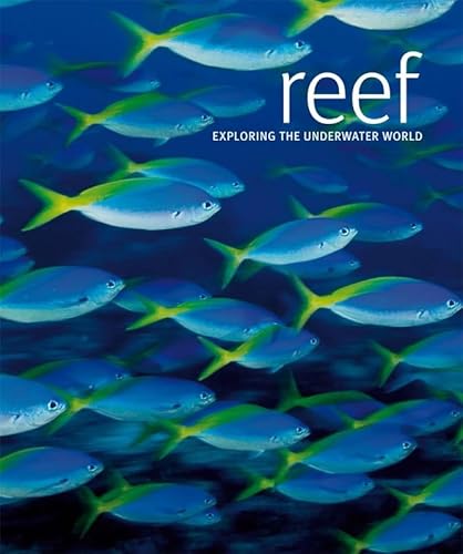 Stock image for Reef: Exploring the Underwater World for sale by WorldofBooks
