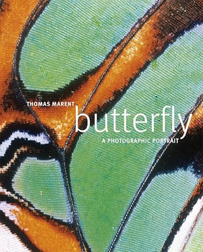 Beispielbild fr Butterfly: A photographic portrait (Dk Reference) zum Verkauf von AwesomeBooks