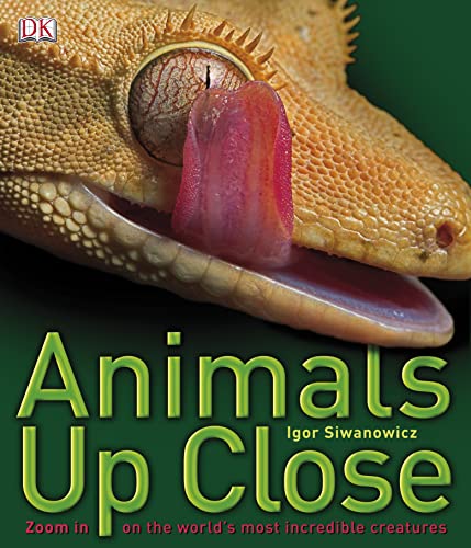 Imagen de archivo de Animals Up Close a la venta por WorldofBooks