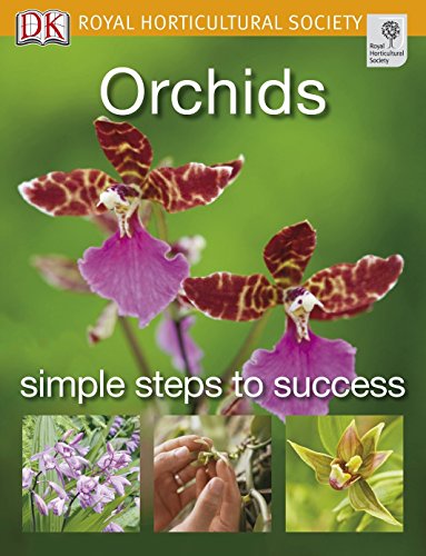 Stock image for Orchids for sale by ThriftBooks-Dallas