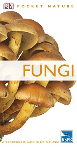 Stock image for Fungi (RSPB Pocket Nature) for sale by Brit Books