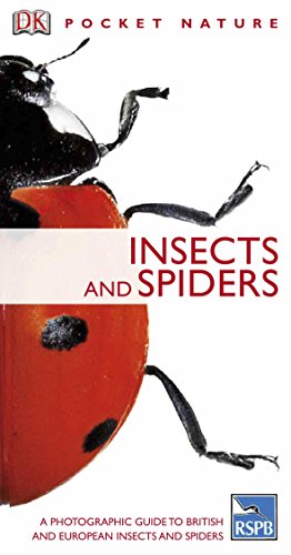 Stock image for Insects and Spiders for sale by Better World Books Ltd