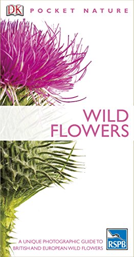 Wild Flowers (Pocket Nature) (9781405350006) by Neil Fletcher