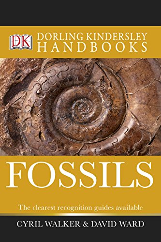 Beispielbild fr Fossils (DK Handbooks) zum Verkauf von WorldofBooks