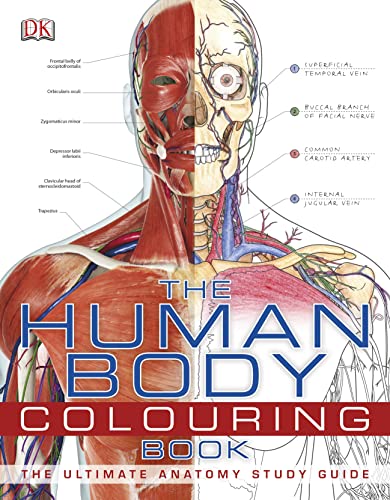 The Human Body Colouring Book (9781405371278) by D.K. Publishing