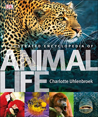 Beispielbild fr Illustrated Encyclopedia of Animal Life zum Verkauf von WorldofBooks