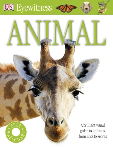 Beispielbild fr Animal (Eyewitness) zum Verkauf von WorldofBooks