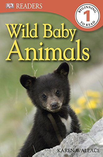 9781405393362: Wild Baby Animals (DK Readers Level 1)