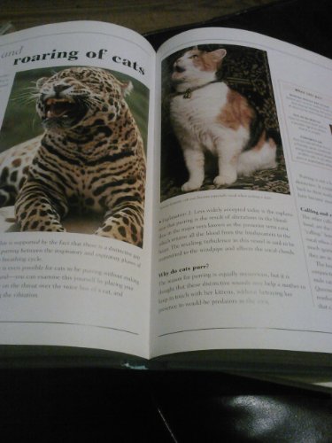 Stock image for Understanding Your Cat (Understanding Your Animal) for sale by Half Price Books Inc.