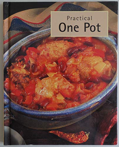 Beispielbild fr Practical One Pot zum Verkauf von Wonder Book