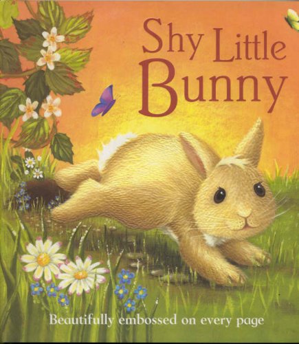 Beispielbild fr Shy Little Bunny zum Verkauf von WorldofBooks