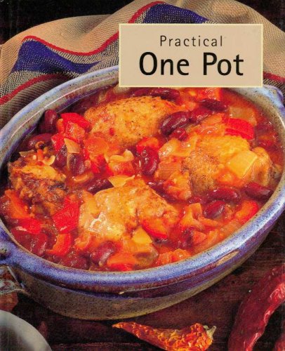 Stock image for Practical One Pot for sale by Adventures Underground