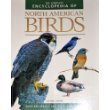 Stock image for The Encyclopedia of North American Birds for sale by Better World Books