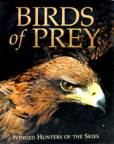 Stock image for Birds of Prey for sale by HPB-Diamond