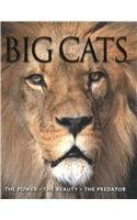 Stock image for Leapfrog Learners - Big Cats for sale by Better World Books