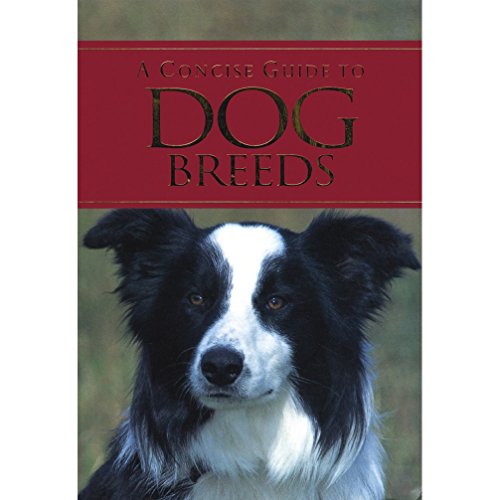 Stock image for A Concise Guide to Dog Breeds for sale by WorldofBooks