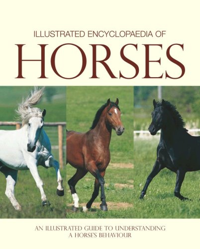 Stock image for Illustrated Encyclopedia of Horses (Understanding Your Animal) for sale by Bahamut Media