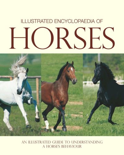 9781405483520: Illustrated Encylopedia of Horses (Understanding Your Animal)