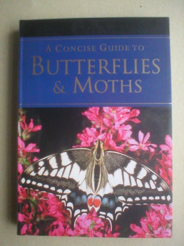 Imagen de archivo de A Pocket Guide to Butterflies & Moths a la venta por Wonder Book