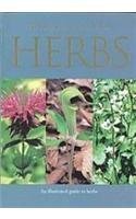 9781405488044: A Pocket Guide to Herbs