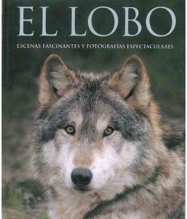 Imagen de archivo de EL LOBO. ESCENAS FASCINANTES Y FOTOGRAFIAS ESPECTACULARES a la venta por Ducable Libros