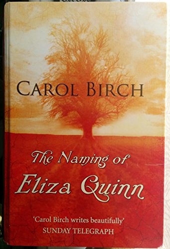 9781405613323: The Naming of Eliza Quinn