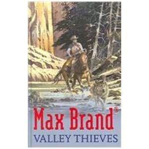9781405680271: Valley Thieves