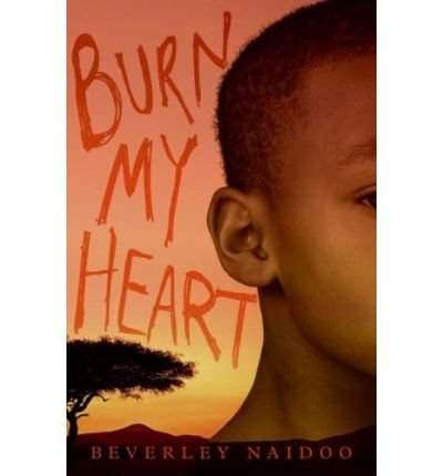 9781405865852: BURN MY HEART by NAIDOO, BEVERLEY ( AUTHOR ) Apr-11-2008 Hardback