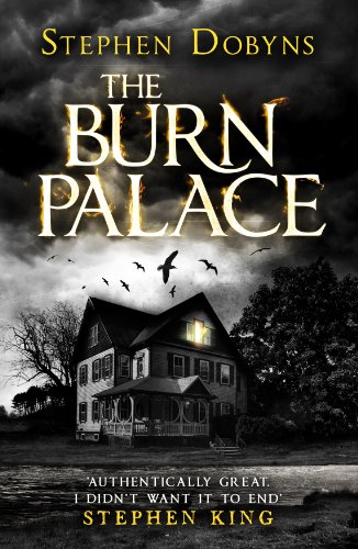 9781405915274: The Burn Palace