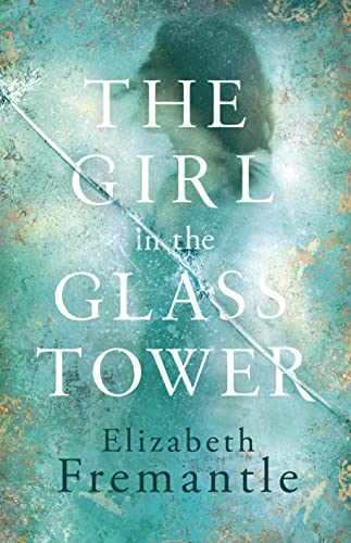 9781405920056: The Girl in the Glass Tower