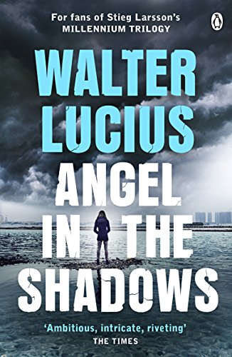 Beispielbild fr Angel in the Shadows zum Verkauf von Better World Books Ltd