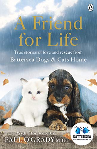 Stock image for A Friend for Life for sale by Blackwell's