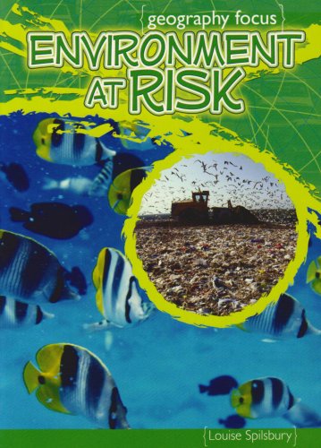 Environment at Risk: (The Effects of Pollution) (Geography Focus) (9781406202793) by Spilsbury, Louise A