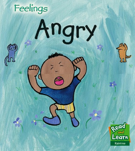 Imagen de archivo de Angry (Feelings) a la venta por WorldofBooks