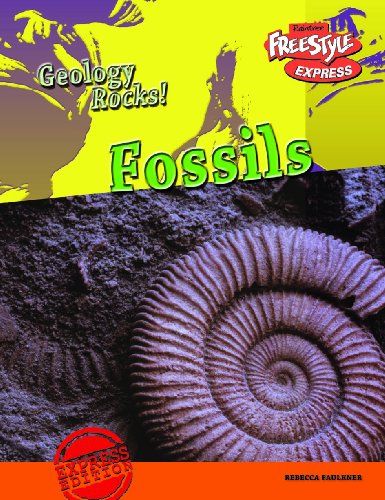 Stock image for Geology Rocks! Fossils for sale by Pearlydewdrops