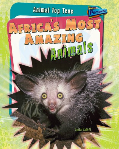 9781406209143: Africa's Most Amazing Animals (Animal Top Tens)