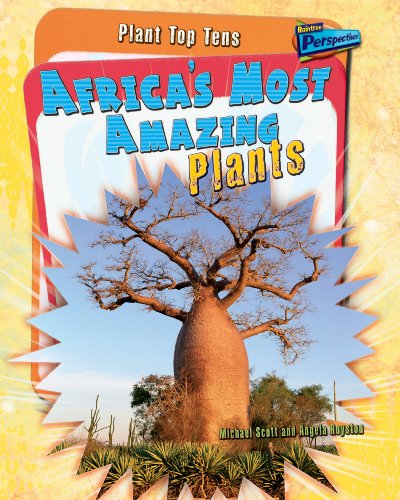 Stock image for Africa's Most Amazing Plants for sale by Better World Books Ltd