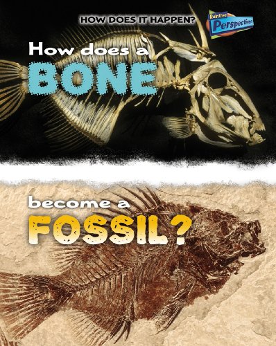 9781406211252: How Does a Bone Become a Fossil? (How Does It Happen)