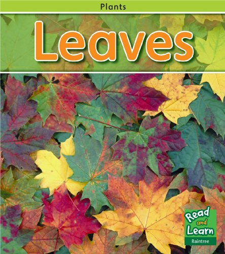 Leaves (Read and Learn: Plants) (9781406211405) by Whitehouse, Patricia
