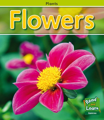 Flowers (Read and Learn: Plants) (9781406211443) by Whitehouse, Patricia