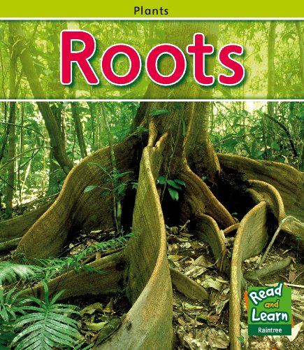 9781406211467: Roots (Plants)