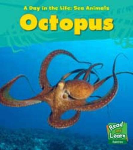 9781406217032: Octopus (A Day in the Life: Sea Animals)