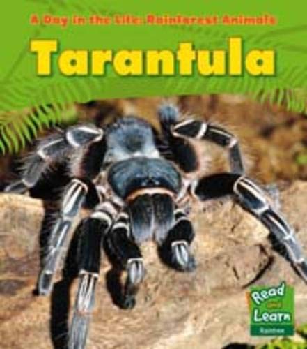 9781406217889: Tarantula (A Day in the Life: Rain Forest Animals)