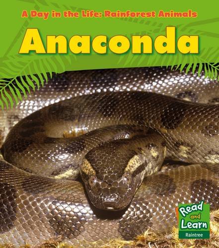 9781406218756: Anaconda (A Day in the Life: Rain Forest Animals)