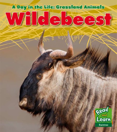 Wildebeest (Day in the Life. Grassland Animals) (9781406219012) by Louise Spilsbury