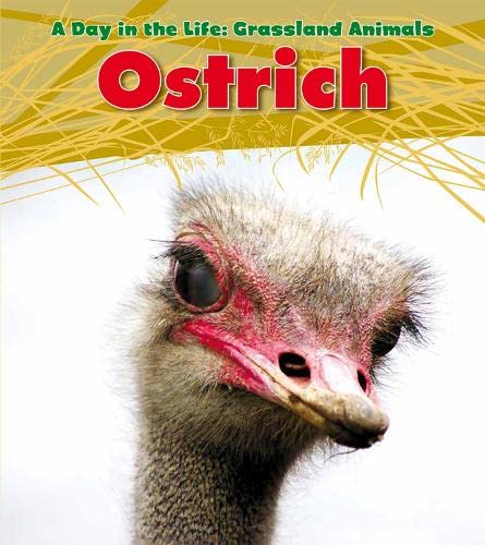 Ostrich (Day in the Life. Grassland Animals) (9781406219043) by [???]